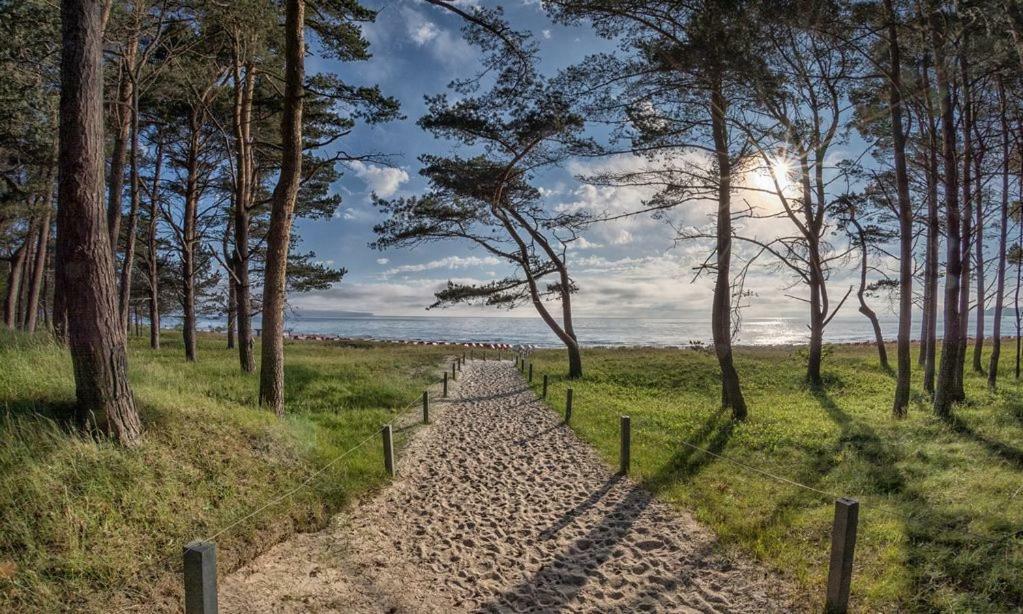 Direkt Am Strand Mit Meerblick Und Sauna - Fewo Strandidyll Binz Dış mekan fotoğraf